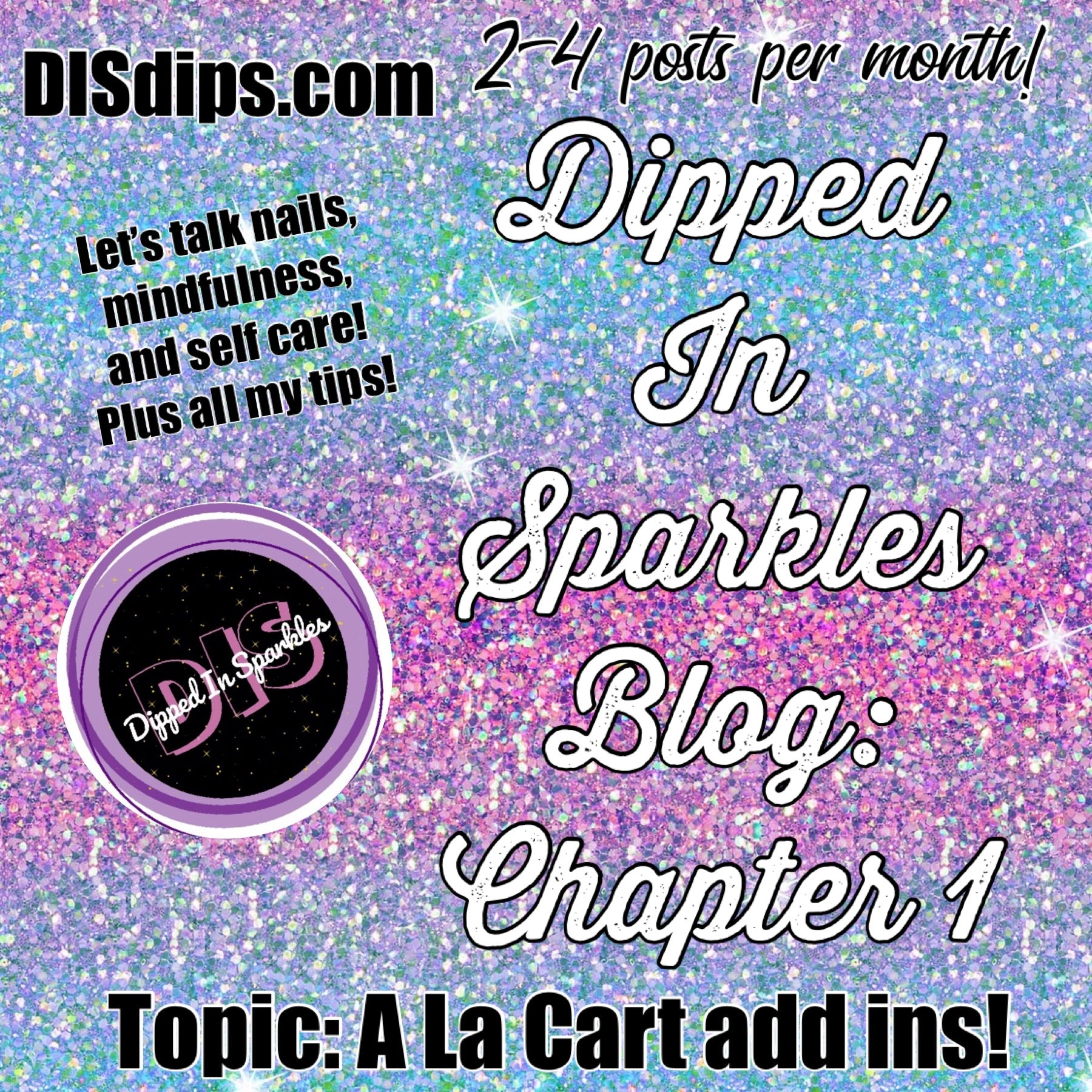 DIS Blog Chapter One